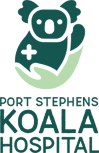 Port Stephens Koalas LOGO
